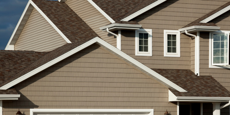 Why So Many Homeowners Choose Vinyl Siding for Their Home