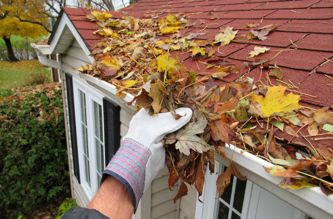 Why Installing a Leaf Guard is a Great Investment