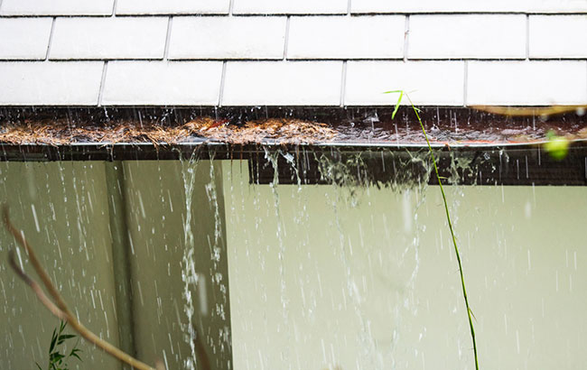 Clogged Gutters Are a Big No-No for Your Home